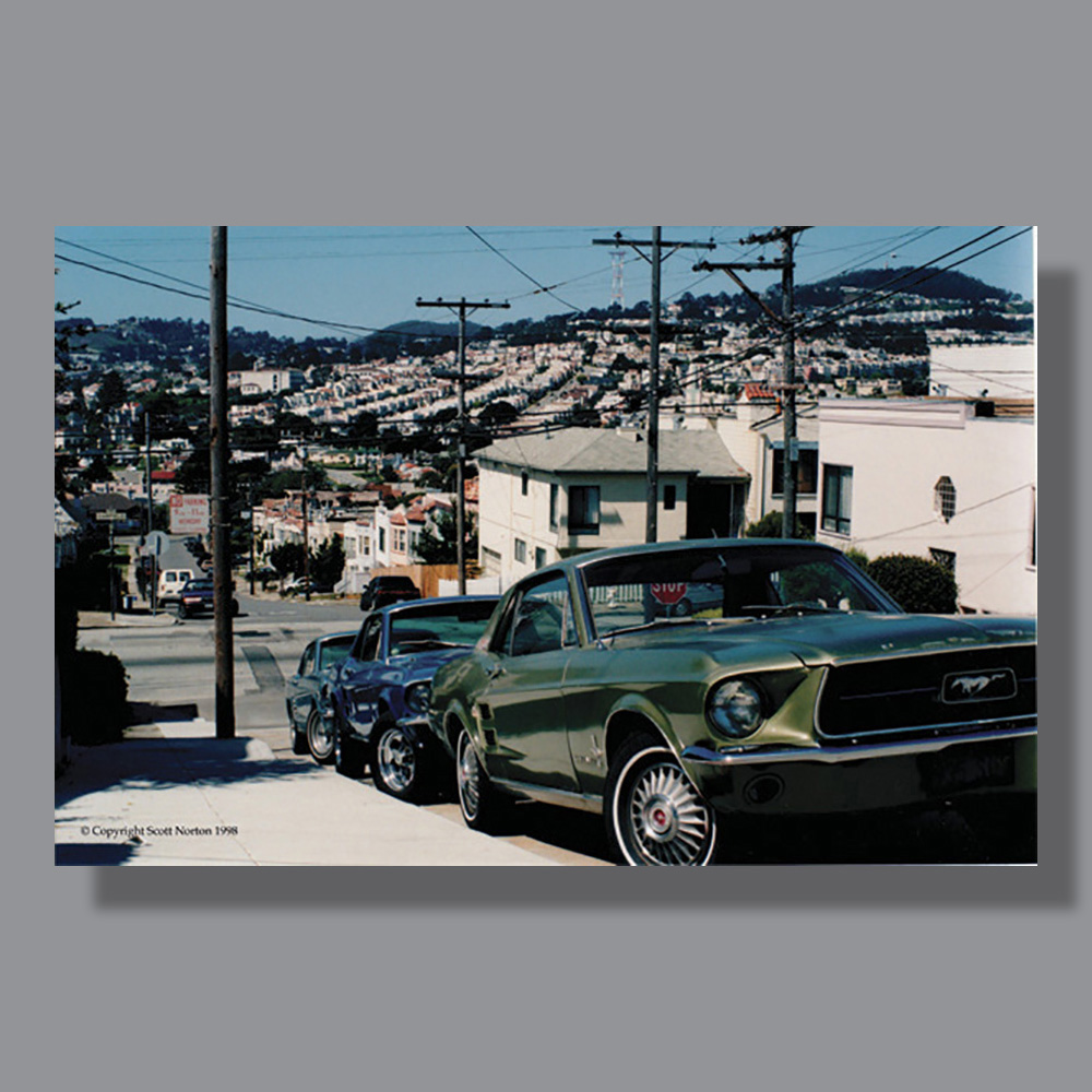 Image by Scott. Left Coast Ceative® is a registered trade mark of Scott Norton Design. All rights reserved.