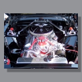 Image by Scott. Left Coast Ceative® is a registered trade mark of Scott Norton Design. All rights reserved.