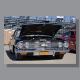 Image by Scott. Left Coast Ceative® is a registered trade mark of Scott Norton Design. All rights reserved.