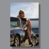 Image by Scott. Left Coast Ceative® is a registered trade mark of Scott Norton Design. All rights reserved.