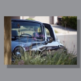 Image by Scott. Left Coast Ceative® is a registered trade mark of Scott Norton Design. All rights reserved.