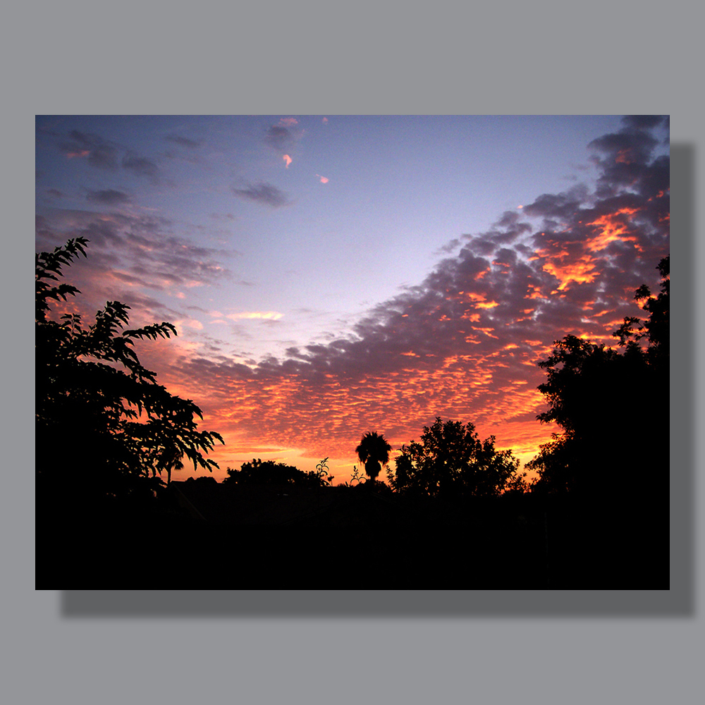 image-landscape-san-diego-miramar