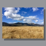 image-landscape-san-marcos-preserve-1