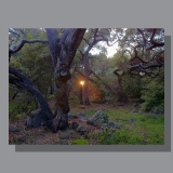 image-landscape-rocky-nook-2