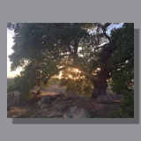 image-landscape-san-marcos-preserve-1