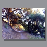 image-landscape-san-marcos-preserve-3