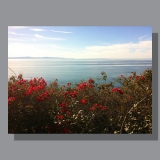 image-landscape-pacific-ocean-2