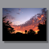 image-landscape-san-diego-miramar