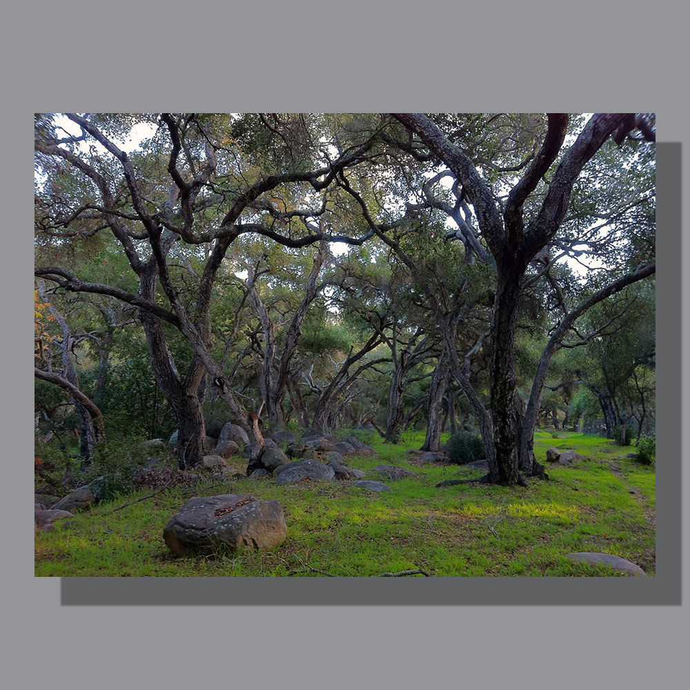 Rocky Nook - Image by Scott. 