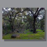 Rocky Nook - Image by Scott. 