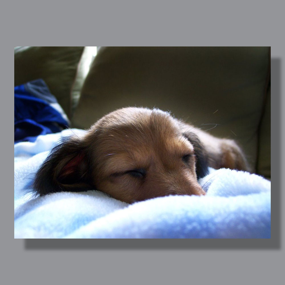 Image by Scott. Left Coast Ceative® is a registered trade mark of Scott Norton Design. All rights reserved.