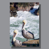 Image by Scott. Left Coast Ceative® is a registered trade mark of Scott Norton Design. All rights reserved.