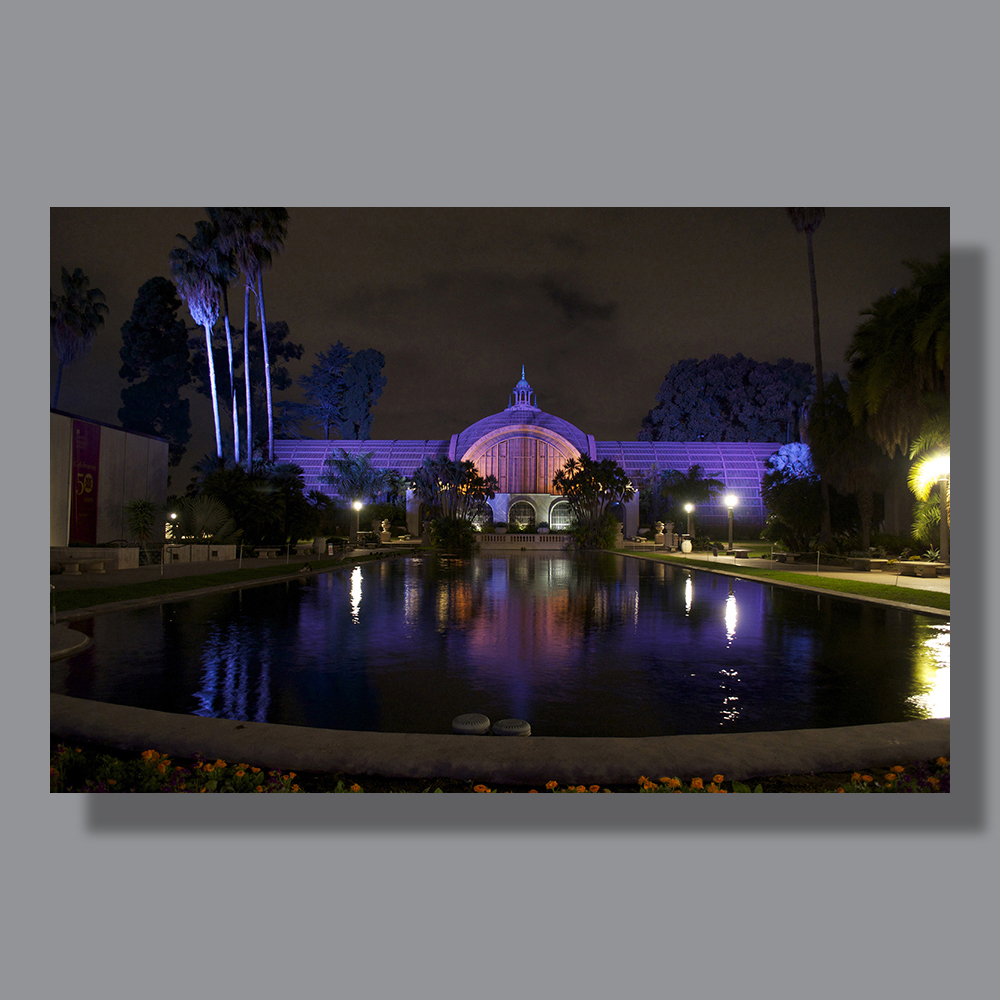 Image by Scott. Left Coast Ceative® is a registered trade mark of Scott Norton Design. All rights reserved.