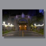 Image by Scott. Left Coast Ceative® is a registered trade mark of Scott Norton Design. All rights reserved.