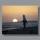 Image by Scott. Left Coast Ceative® is a registered trade mark of Scott Norton Design. All rights reserved.