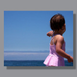 Image by Scott. Left Coast Ceative® is a registered trade mark of Scott Norton Design. All rights reserved.